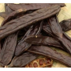 خروب | Carob